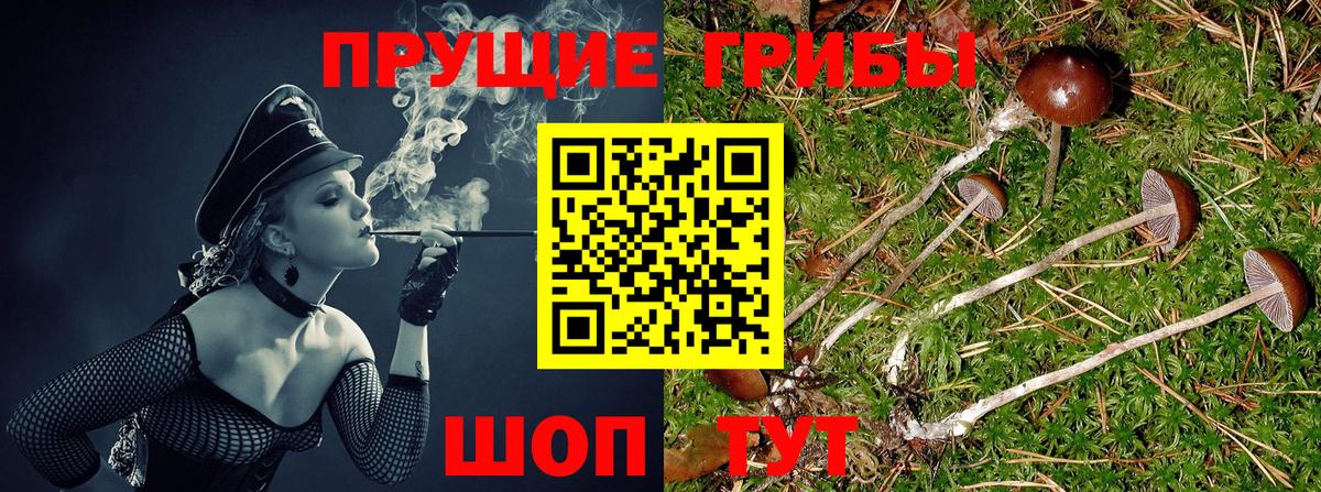 Псилоцибиновые грибы MAGIC MUSHROOMS  Вход с VPN  Галлюциногенные грибы ЛСД  Реж 