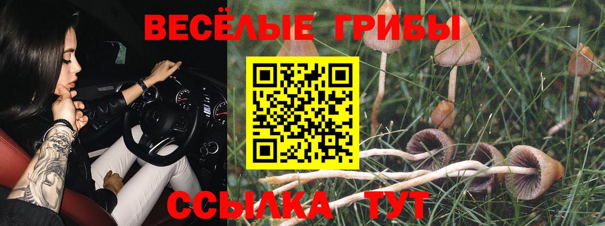 Галлюциногенные грибы Magic Shrooms Реж